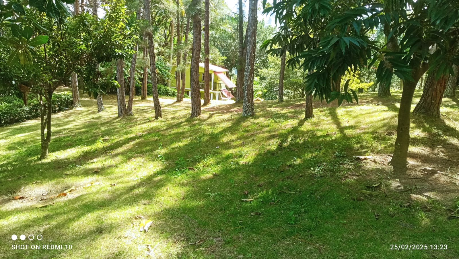 DAIA Innovation Campus — Photo 15
